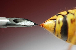 Medizinische Fotografie