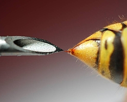 Medizinische Fotografie