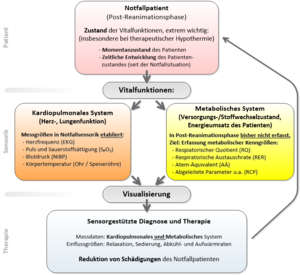 Metabolisches Monitoring in der Notfallmedizin