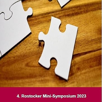 4. Mini-Symposium 2023